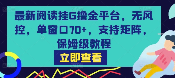 最新阅读挂G撸金平台，无风控，单窗口70+，支持矩阵，保姆级教程【揭秘】-咖脉互联