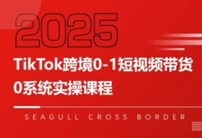 大亿老师·TikTok跨境0-1短视频带货-咖脉互联