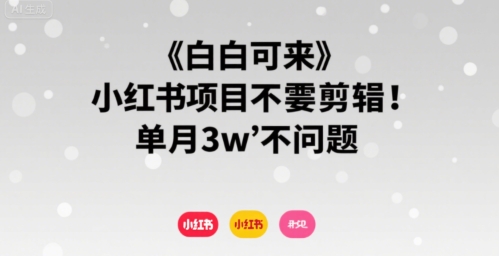 小白可来 小红书项目不需要剪辑 单月3w不是问题-咖脉互联