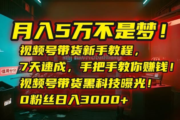 月入5万不是梦！视频号带货新手教程，7天速成，手把手教你赚钱！视频号…-咖脉互联
