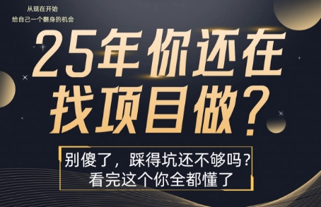 25年，你还在疯狂的找项目吗？别傻了，看完这个你都懂了【揭秘】-咖脉互联