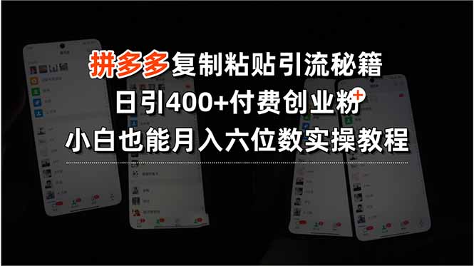 拼多多复制粘贴引流秘籍，日引400+付费创业粉，小白也能月入六位数实操…-咖脉互联