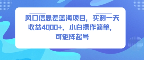 风口信息差蓝海项目，实测一天收益4k+，小白操作简单，可矩阵起号-咖脉互联