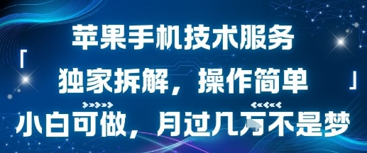 苹果手机技术服务，独家拆解，操作简单，小白可做，月过1W不是梦-咖脉互联
