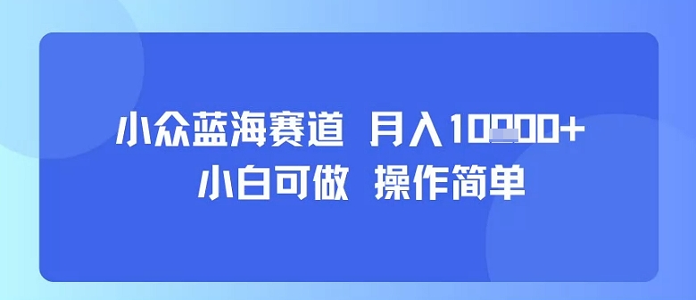 小众蓝海赛道，小白可做，操作简单，每天30分钟，月入1W+-咖脉互联