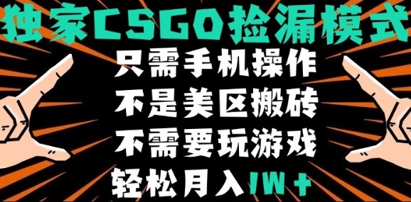 CSGO自动捡漏项目,最新独家玩法,不是美区搬砖,不需要了解和玩游戏,新手小白轻松月入1W+【揭秘】-咖脉互联