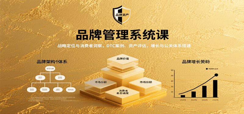 品牌管理系统课:战略定位与消费者洞察,DTC案例、资产评估,增长与公关体系搭建-咖脉互联