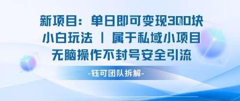 新项目单日即可变现3张的小白玩法无脑操作不封号安全引流-咖脉互联