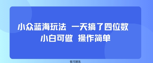 小众蓝海玩法 一天搞了四位数 小白可做 操作简单-咖脉互联
