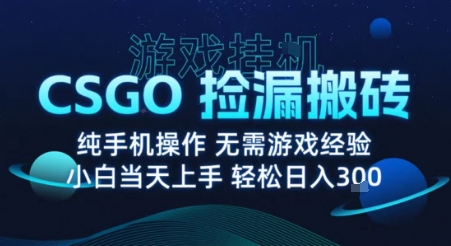 8月最新游戏搬砖,CSGO纯挂G,不需要玩游戏,实现真挂G,月入1W+【揭秘】-咖脉互联