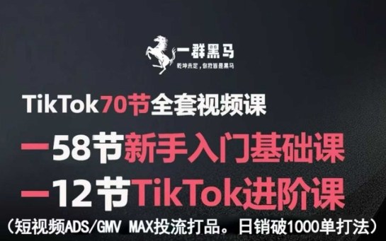TikTok全套视频课,新手入门+进阶课,短视频ADS-GMV MAX投流打品,日销破1000单打法-咖脉互联