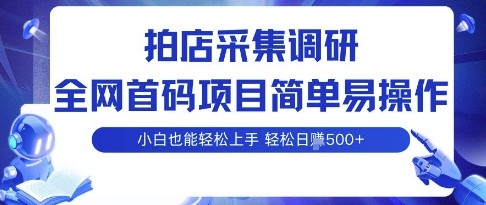 拍店采集调研,全网首码项目,简单易操作, 小白也能轻松上手,多账号操作,轻松日入5张【揭秘】-咖脉互联