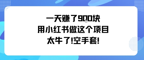 一天挣了9张用小红书做这个项目太牛了,空手套-咖脉互联