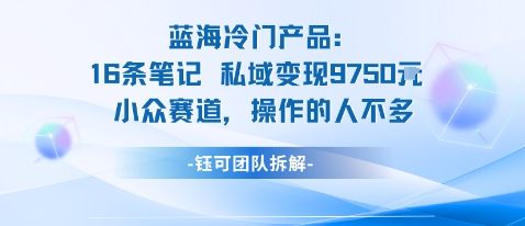 蓝海项目:16条笔记私域变现9750米小众赛道操作的人不多-咖脉互联