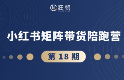 盗坤·抖音小红书视频号短视频带货与直播变现(11-18期)-咖脉互联