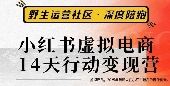 小红书虚拟电商14天变现训练营3.0,虚拟产品,2025年普通人在小红书最后的搞钱机会-咖脉互联