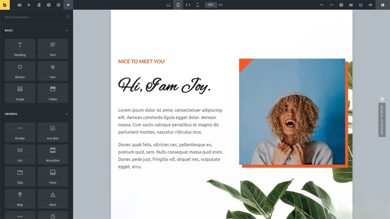 WordPress主题Bricks v1.9 破解版-咖脉互联