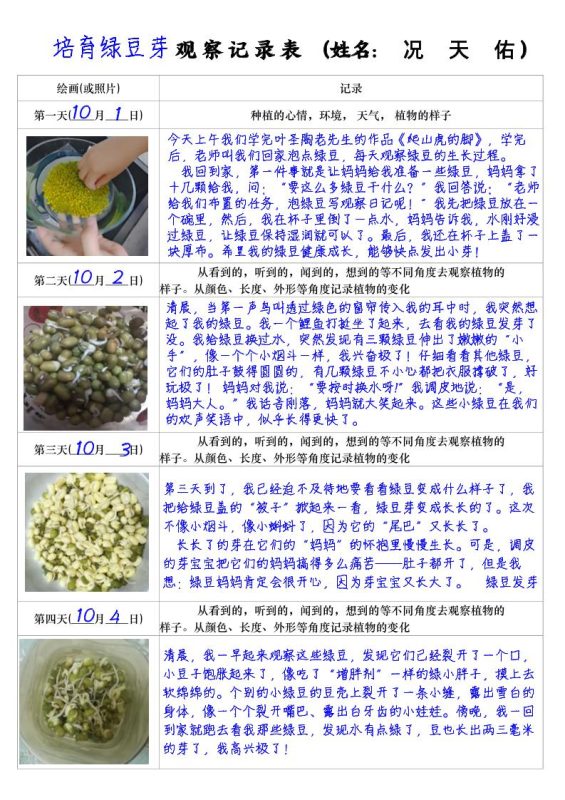 四上语文习作三：培育绿豆芽观察日记2《写观察日记》4页-咖脉互联