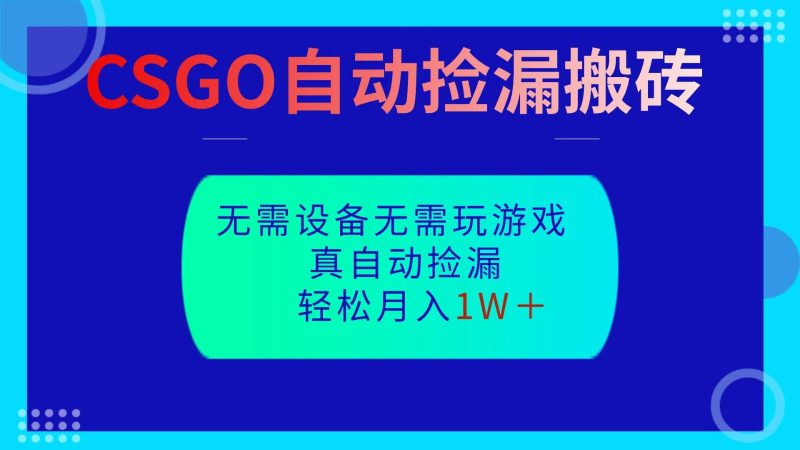 CSGO自动捡漏搬砖，当天操作当天见结果，无需了解游戏，包教包会包落地-咖脉互联