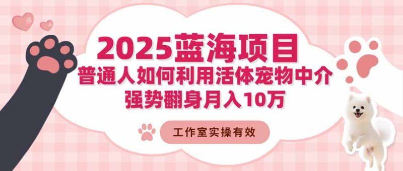 2025蓝海项目：普通人如何利用活体宠物中介，强势翻身月入10万-咖脉互联