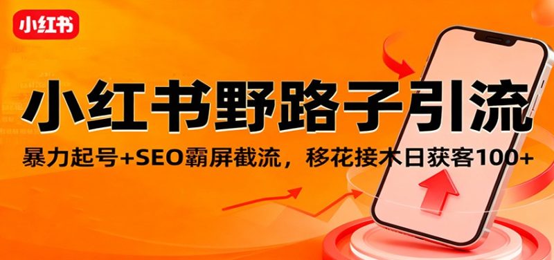 小红书野路子引流，暴力起号+SEO霸屏截流，移花接木日获客100+-咖脉互联