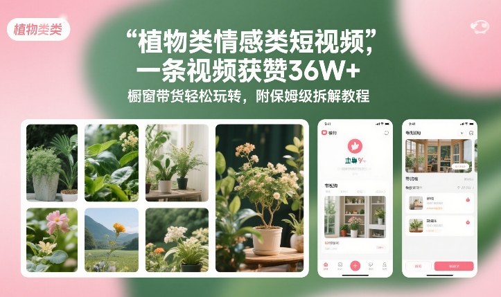 植物类情感类短视频,一条视频获赞36W+,橱窗带货轻松玩转,附保姆级拆解教程-咖脉互联