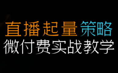 半野老师·直播带货起量与微付费必学课视频号(更新2026)-咖脉互联