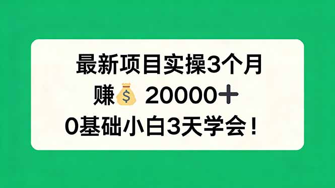 最新项目实操3个月,赚钱20000+,0基础小白3天学会!-咖脉互联