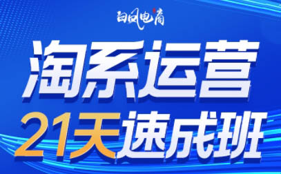 白凤电商·淘系运营21天速成班(更新4月)-咖脉互联