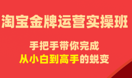 飓风电商·淘宝金牌运营实操班-咖脉互联
